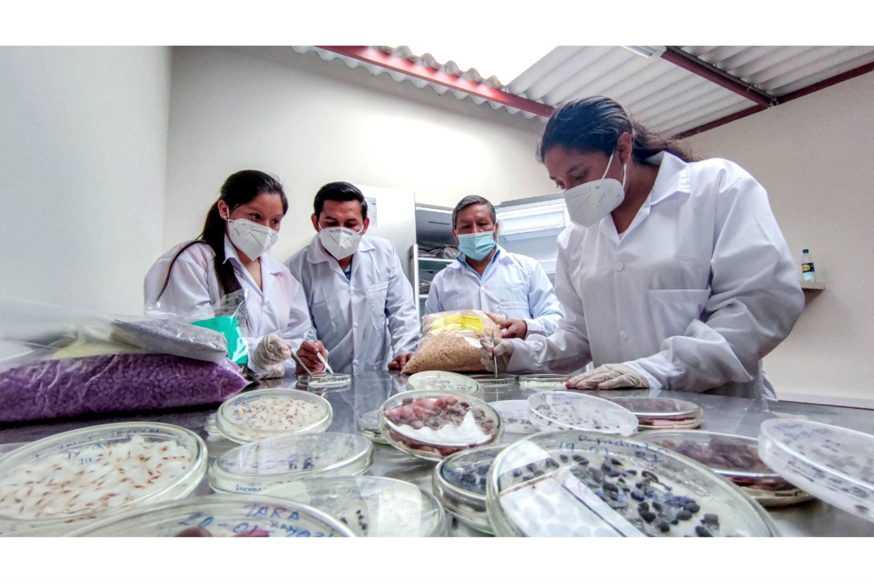El laboratorio de semillas permitirá capacitar a los estudiantes universitarios de Cajamarca y de otras ciudades del país. Foto: ANDINA/Cortesía Eduard Lozano