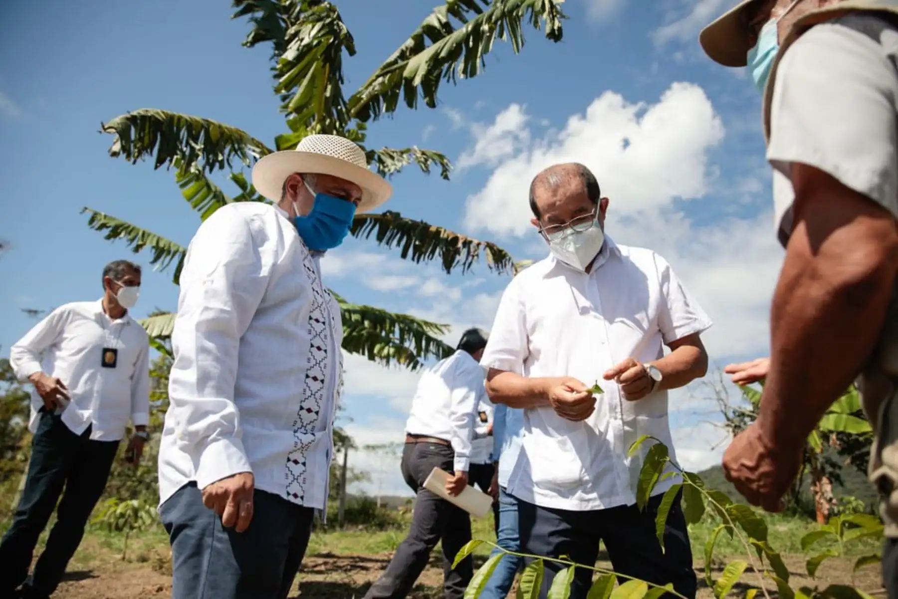 El ministro de Trabajo y Promoción del Empleo Javier Palacios, recoge experiencias de las plantaciones de naranja en el distrito de Sacanche, provincia de Huallaga, conocidas por su alta productividad a través del riego tecnificado. Foto: ANDINA/ MTPE