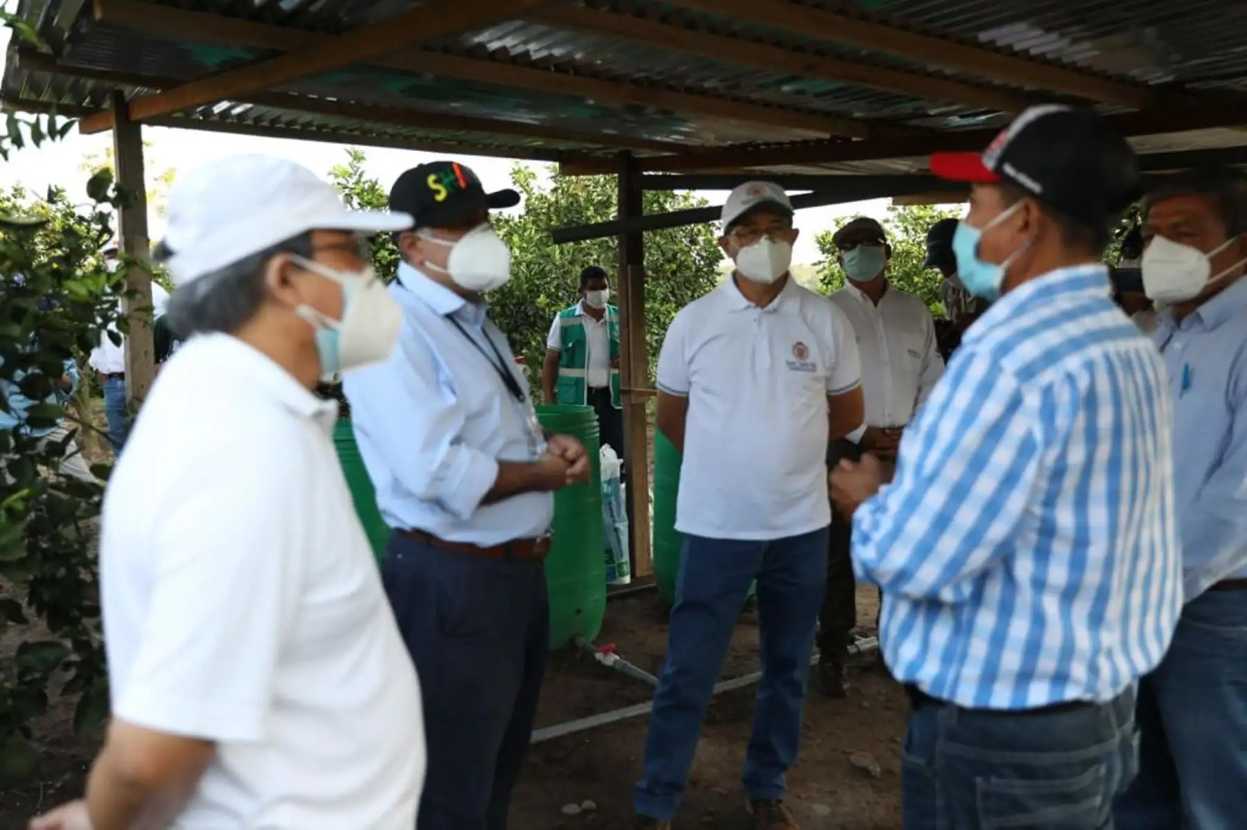 El ministro de Trabajo y Promoción del Empleo Javier Palacios, recoge experiencias de las plantaciones de naranja en el distrito de Sacanche, provincia de Huallaga, conocidas por su alta productividad a través del riego tecnificado. Foto: ANDINA/ MTPE
