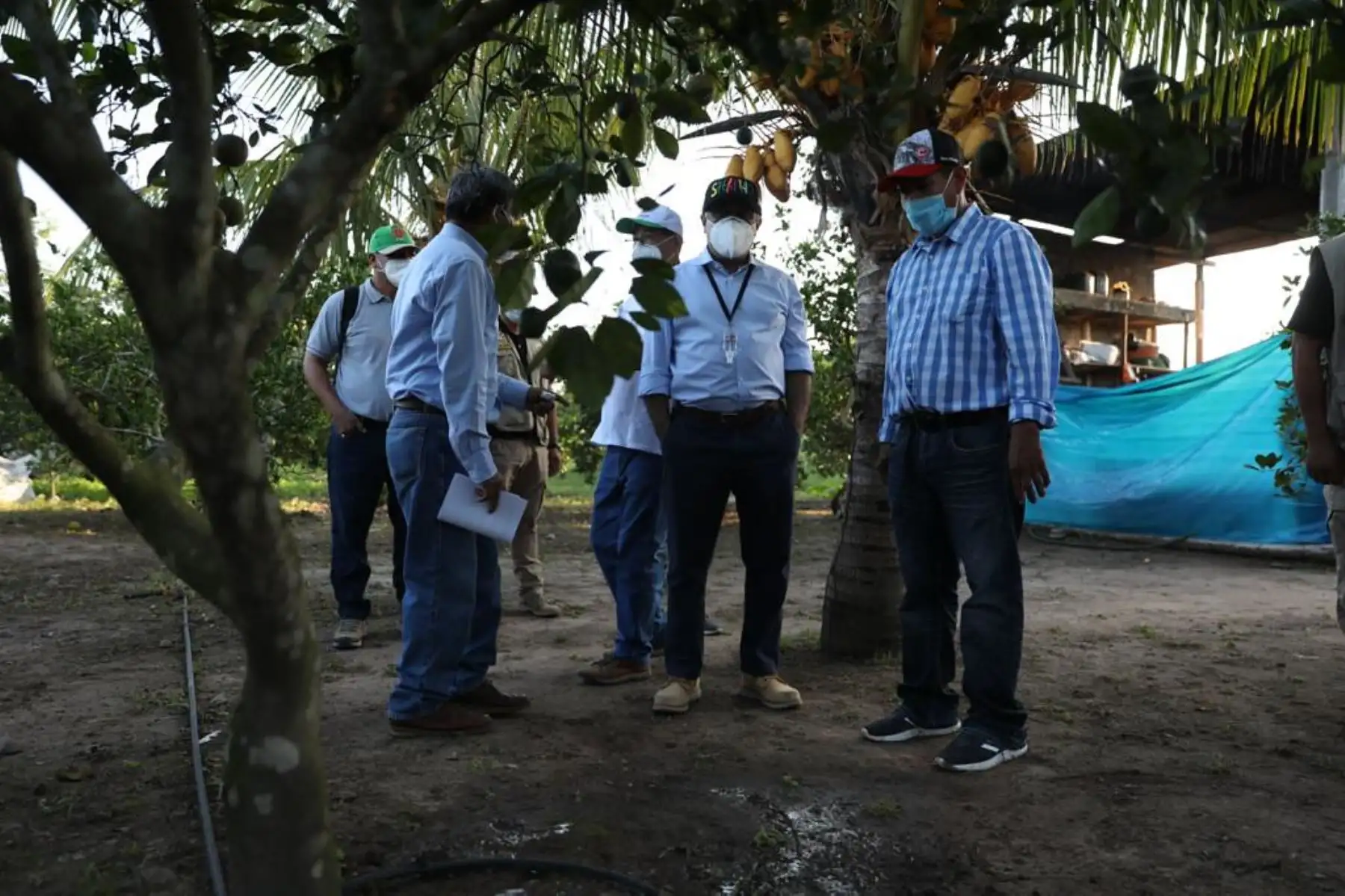 El ministro de Trabajo y Promoción del Empleo Javier Palacios, recoge experiencias de las plantaciones de naranja en el distrito de Sacanche, provincia de Huallaga, conocidas por su alta productividad a través del riego tecnificado. Foto: ANDINA/ MTPE