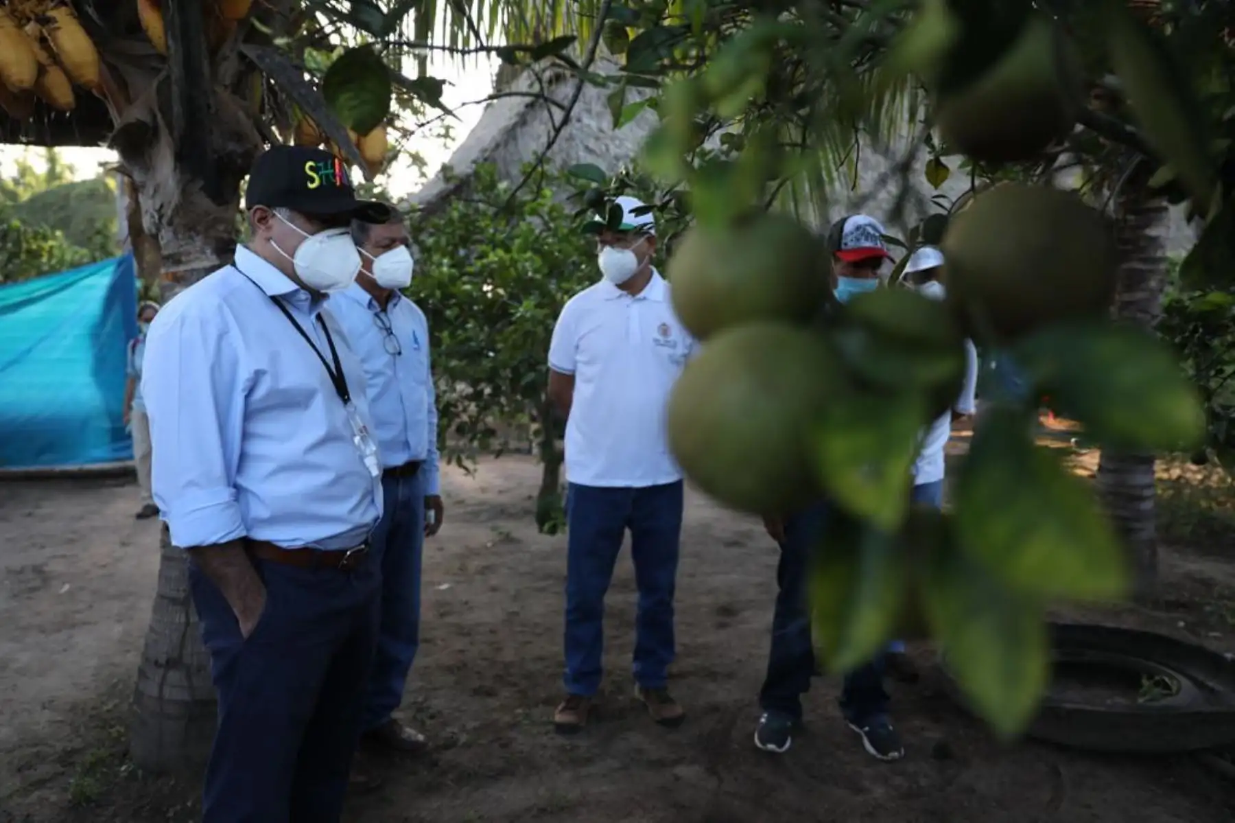 El ministro de Trabajo y Promoción del Empleo Javier Palacios, recoge experiencias de las plantaciones de naranja en el distrito de Sacanche, provincia de Huallaga, conocidas por su alta productividad a través del riego tecnificado. Foto: ANDINA/ MTPE