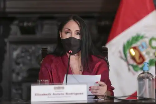 ANDINA/Difusión