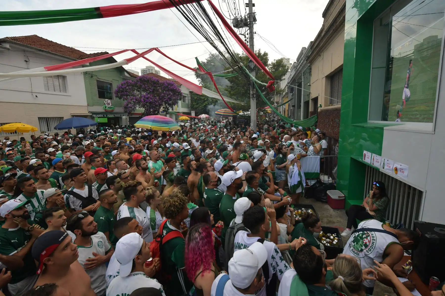 Palmeiras campeón de la Copa Libertadores. Foto: AFP