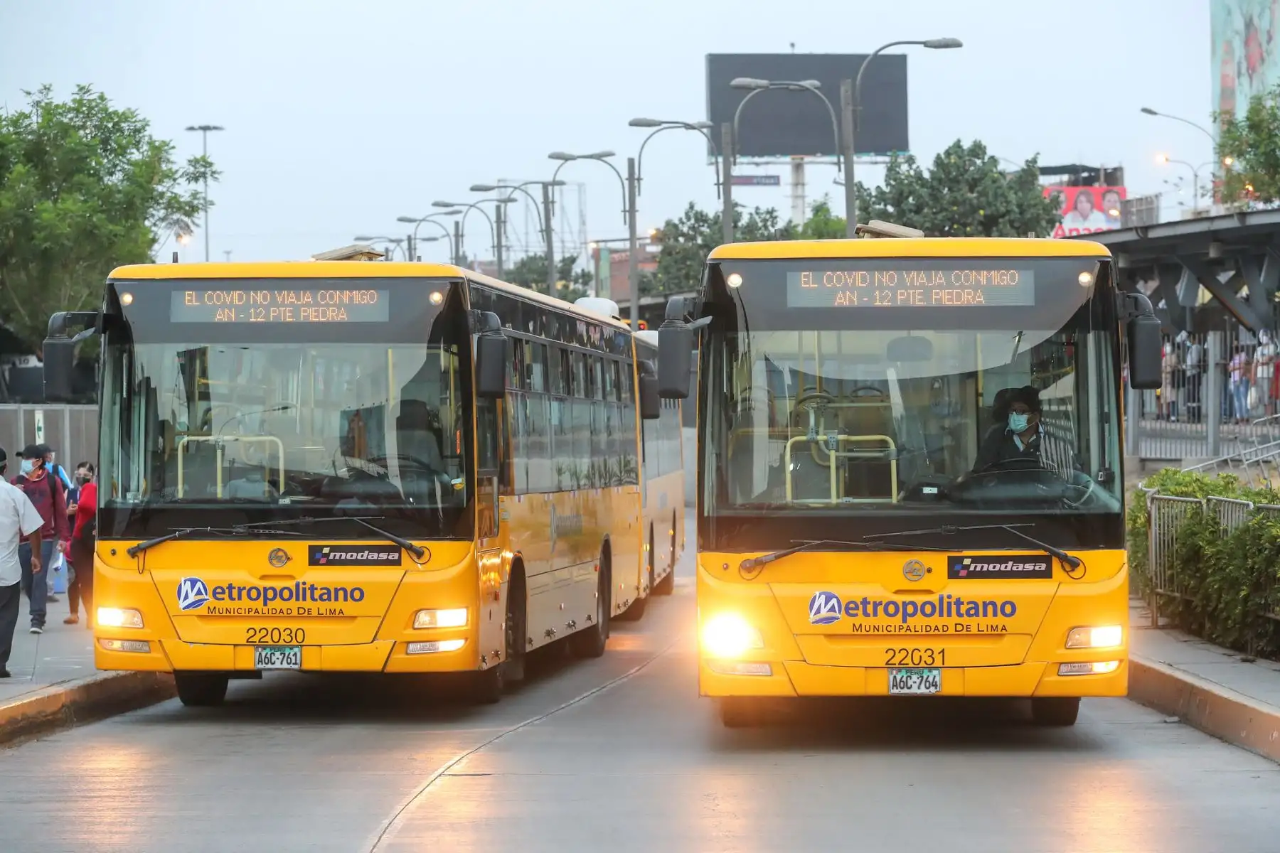 Los taxis autorizados podrán brindar el servicio las 24 horas. Foto: ANDINA/difusión.