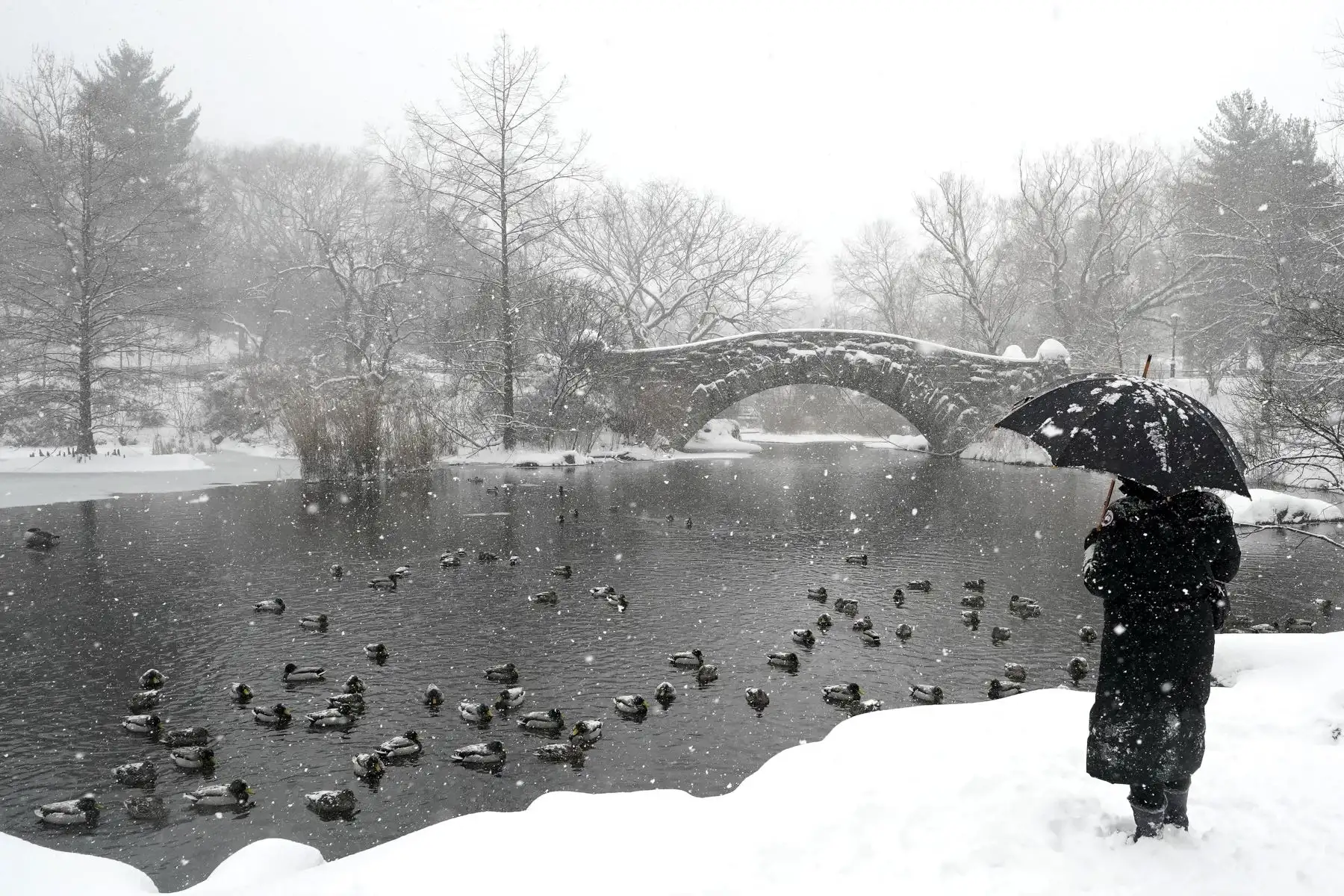 Un hombre camina por la nieve tras la llegada de una gran nevada en Nueva York.

Foto:AFP