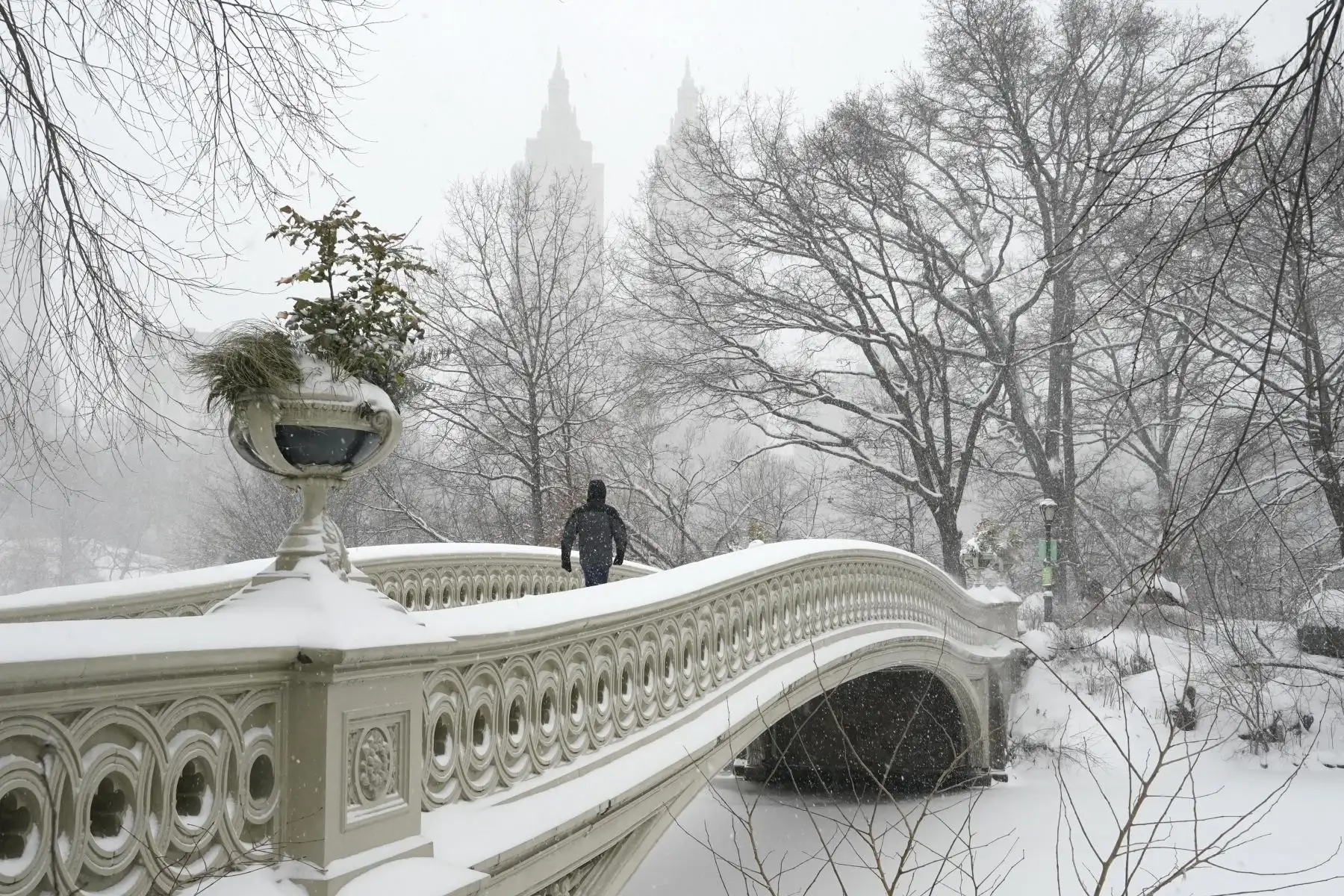 Una persona cruza el puente Bow en Central Park durante una tormenta de invierno en la ciudad de Nueva York. 

Foto:AFP