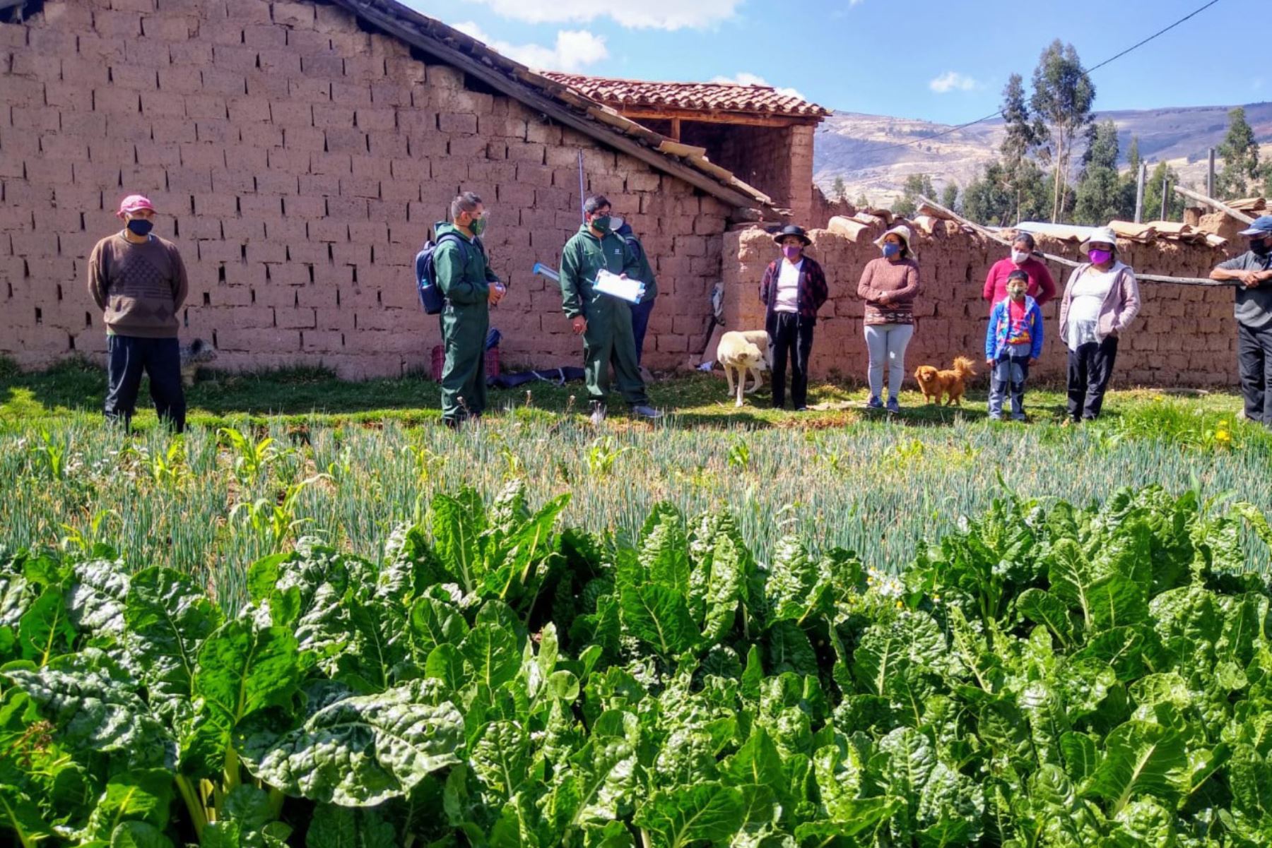 Las agencias agrarias entregan las acreditaciones a los productores para que puedan movilizarse durante la cuarentena. Foto: ANDINA/Difusión