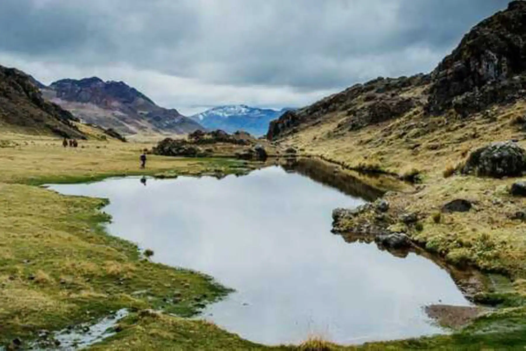 Hoy se celebra el Día Mundial de los Humedales para resaltar la importancia de estos ecosistemas en la conservación de la biodiversidad y la supervivencia humana frente al cambio climático. ANDINA/Difusión