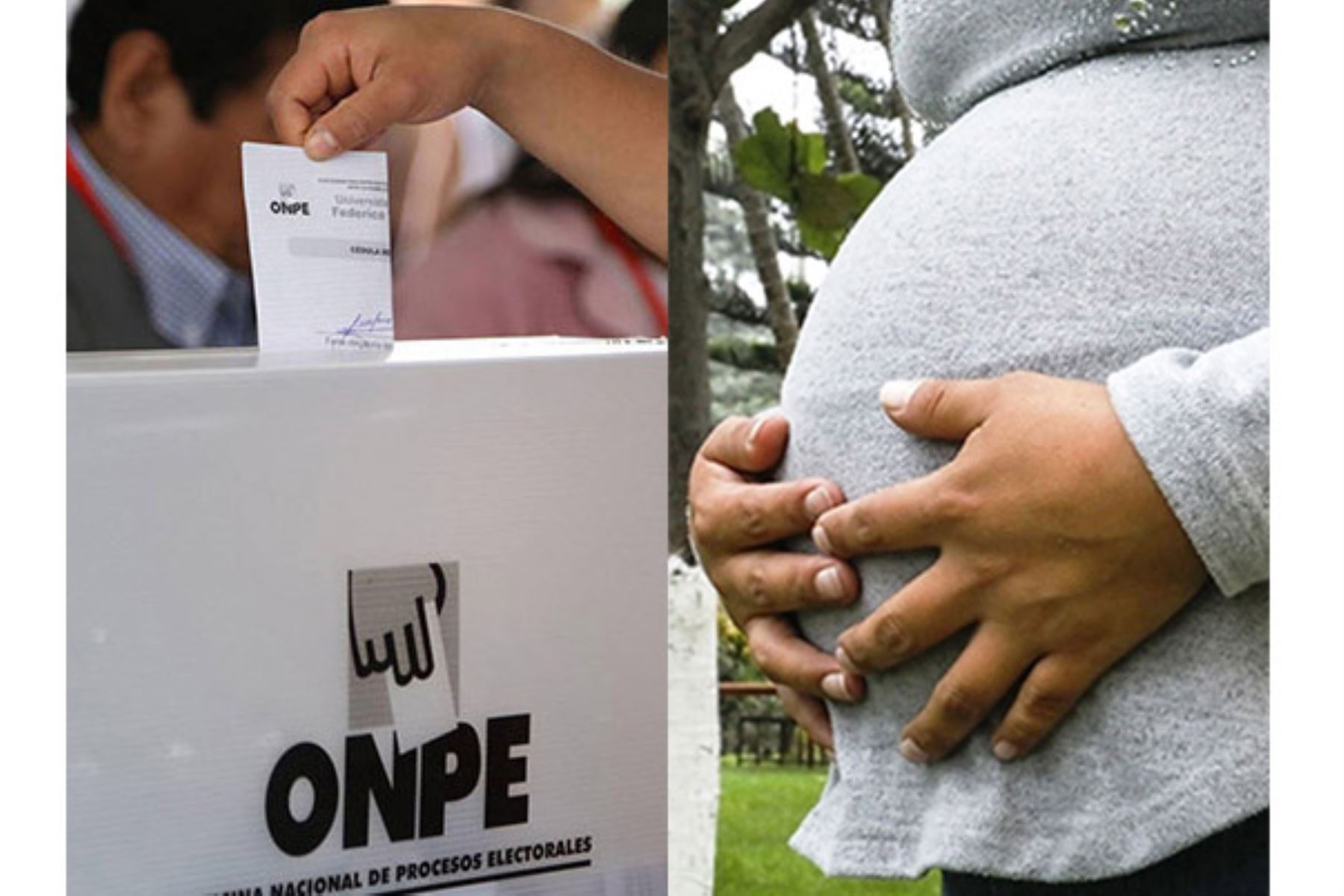 La ONPE incorporó el embarazo y la lactancia entre las causales de excusa al ejercicio del cargo de miembro de mesa. Foto: ANDINA/Difusión