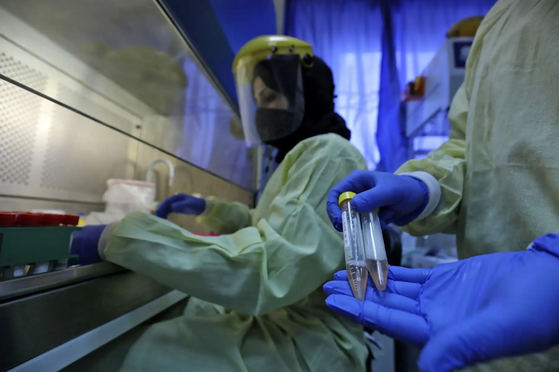 Un trabajador médico manipula muestras de prueba en un laboratorio de pruebas del Ministerio de Salud palestino para detectar la enfermedad por coronavirus en Cisjordania.

Foto: AFP