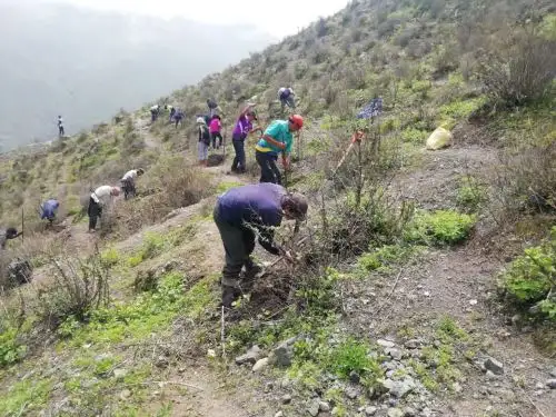 Programa Agro Rural destinará más de S/ 3 millones para impulsar la siembra de especies forestales en diversas comunidades de la Sierra y Selva del país. ANDINA/Difusión