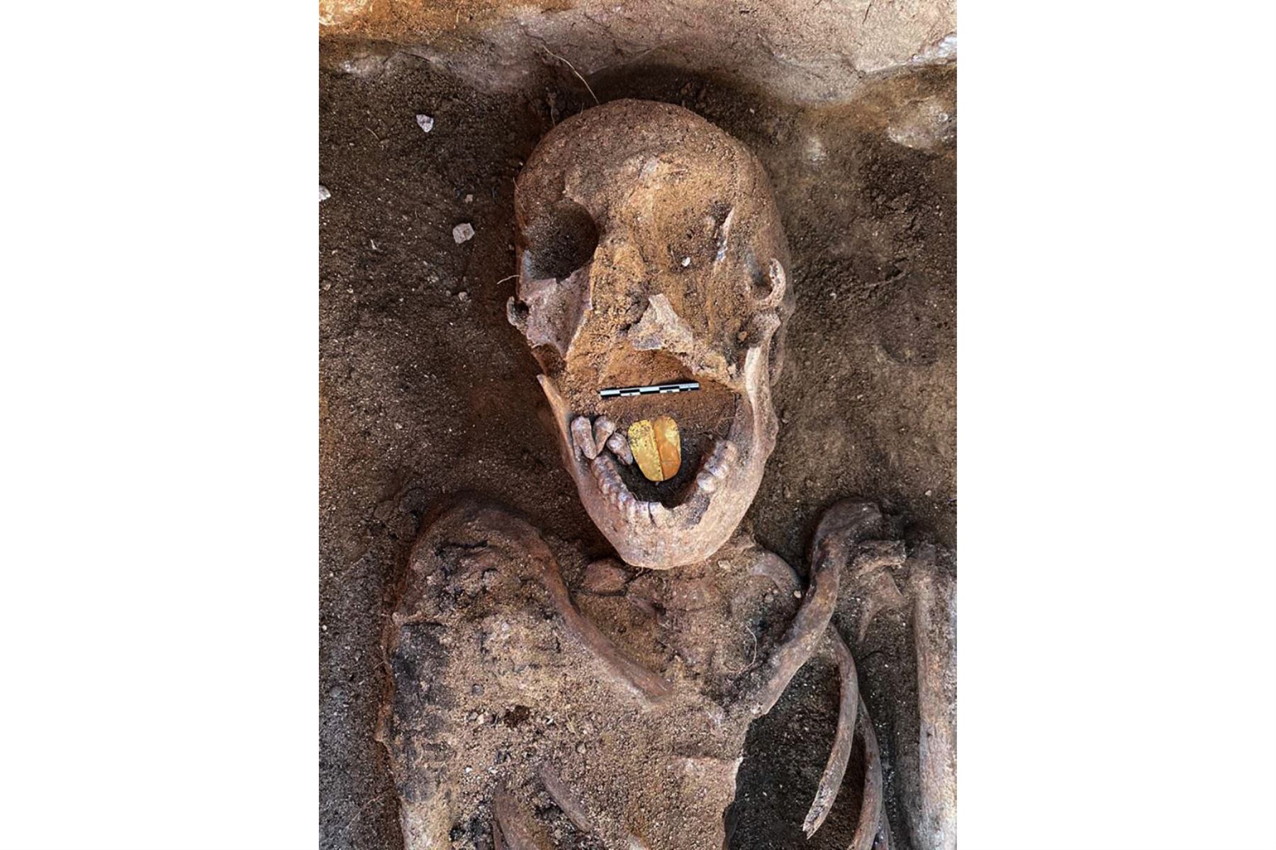 Una imagen distribuida publicada por el Ministerio de Turismo y Antigüedades de Egipto, muestra máscaras de mármol que datan de las épocas griega y romana descubiertas en el Templo Taposiris Magna en el oeste de Alejandría. Foto: AFP
