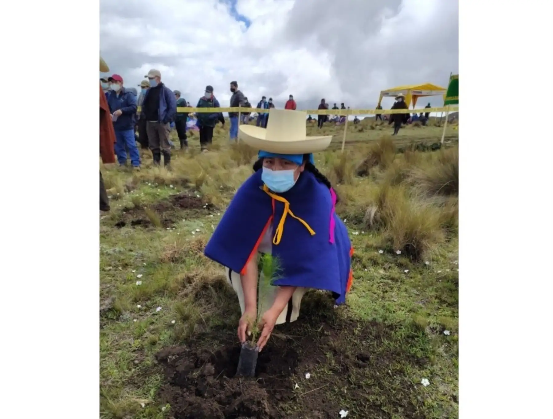 Agro Rural instala más de 22,000 plantones forestales maderables en la comunidad Llucllapuquio, región Cajamarca, y beneficia a 540 familias de ese poblado. ANDINA/Difusión