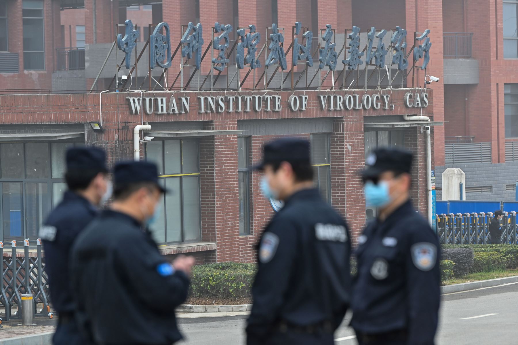 El Instituto de Virología de Wuhan cuenta desde 2012 con un laboratorio de alta seguridad P4 para patógenos muy peligrosos, que puede albergar cepas de virus como el del Ébola y que la OMS ha podido visitar. Foto: AFP
