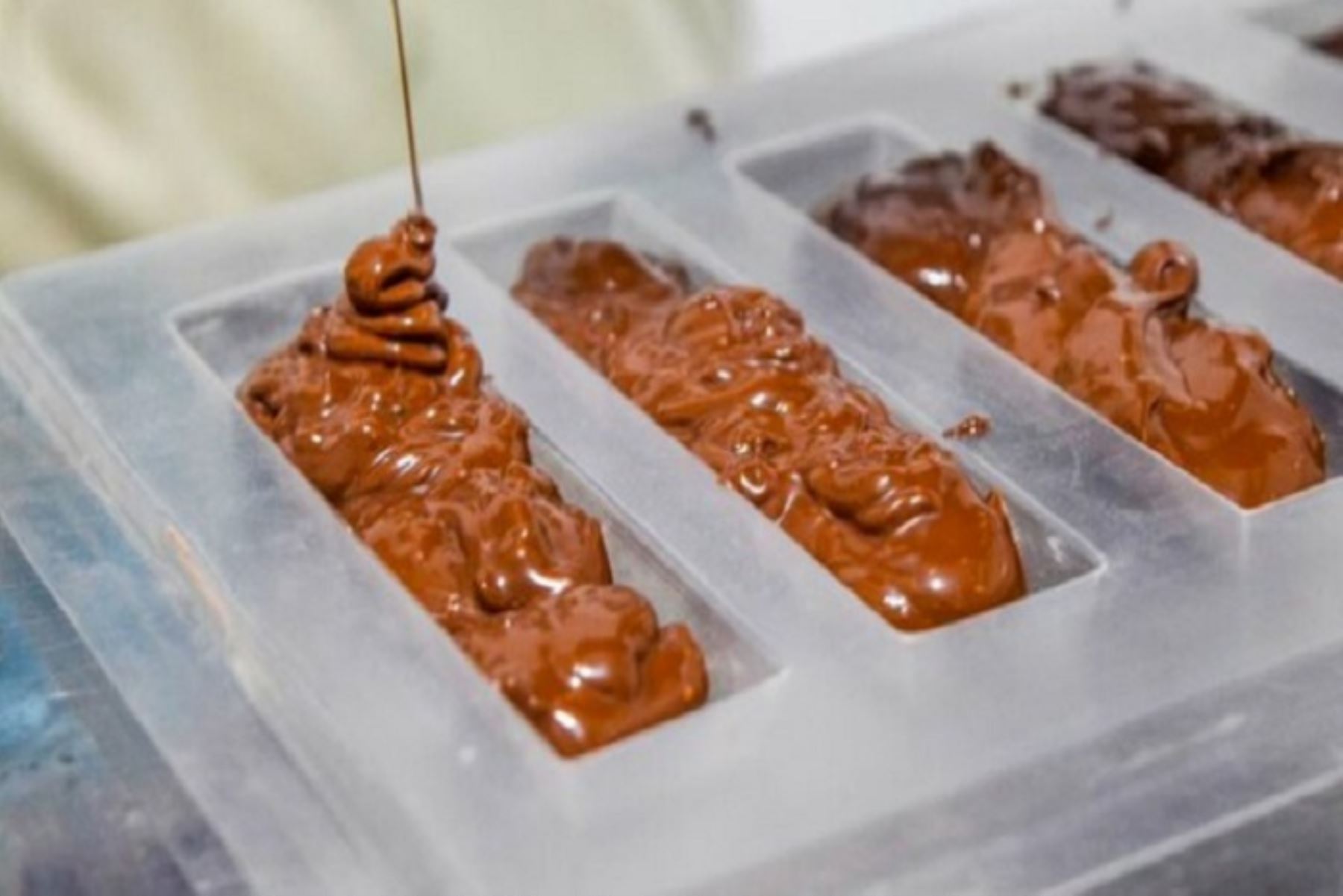 La espirulina, microalga que contiene las vitaminas B1, B2 y B6, es usada en la elaboración de innovadores y deliciosos chocolates. Foto: ANDINA/Difusión