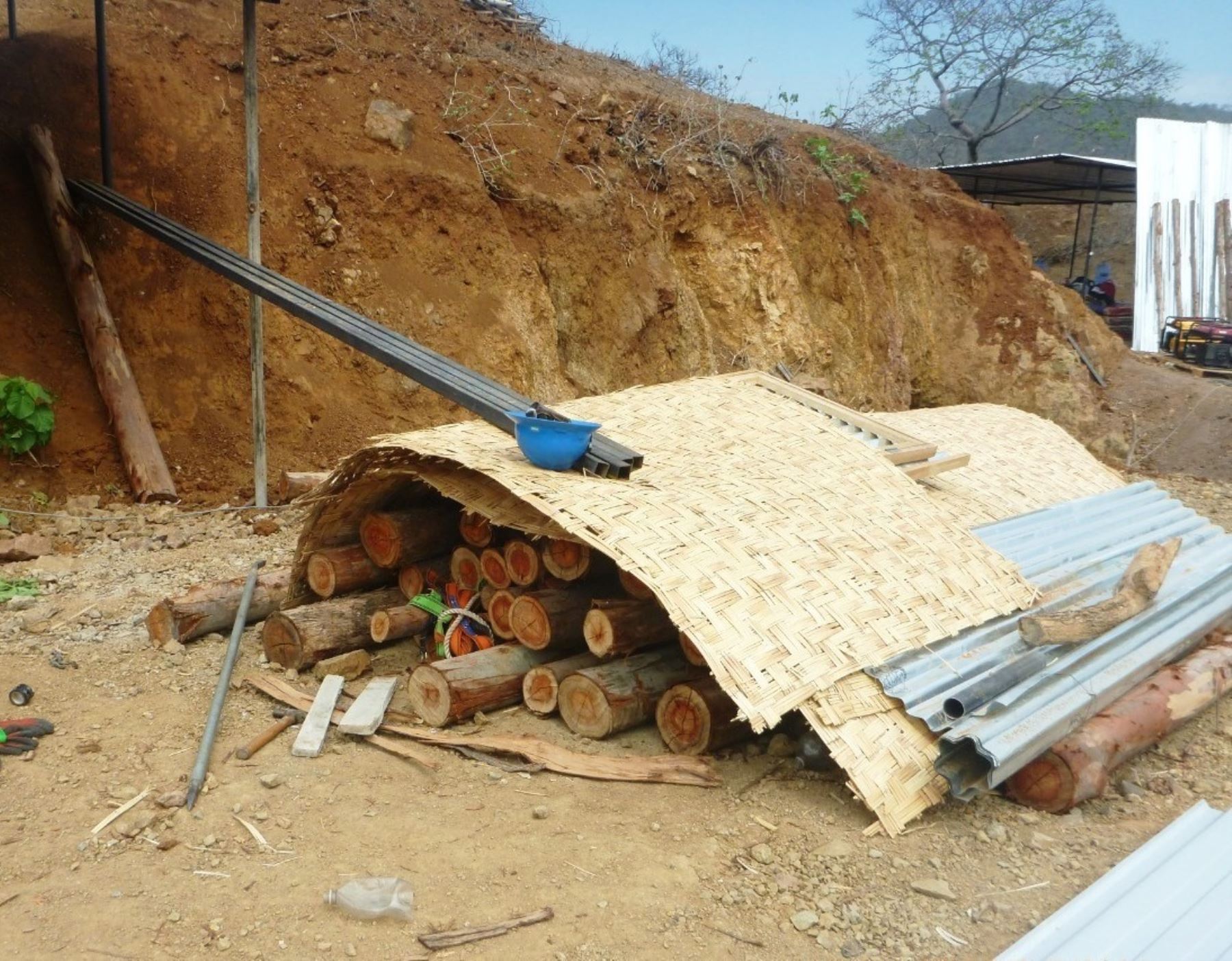 Autoridades del Ministerio Público y del Serfor intervinieron un caso de tala ilegal en provincia piurana de Ayabaca.