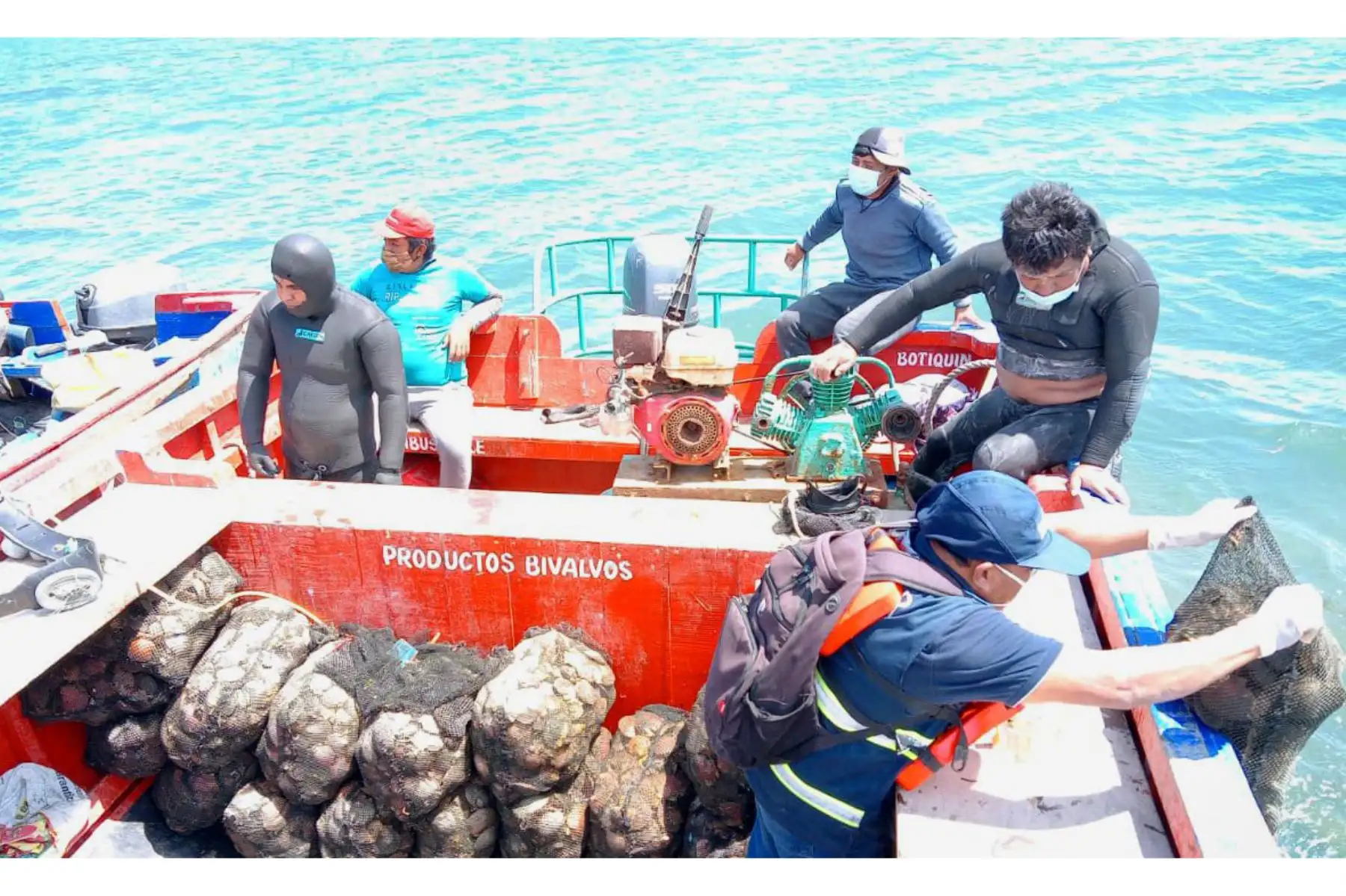 Pesca. Foto: ANDINA/Difusión.