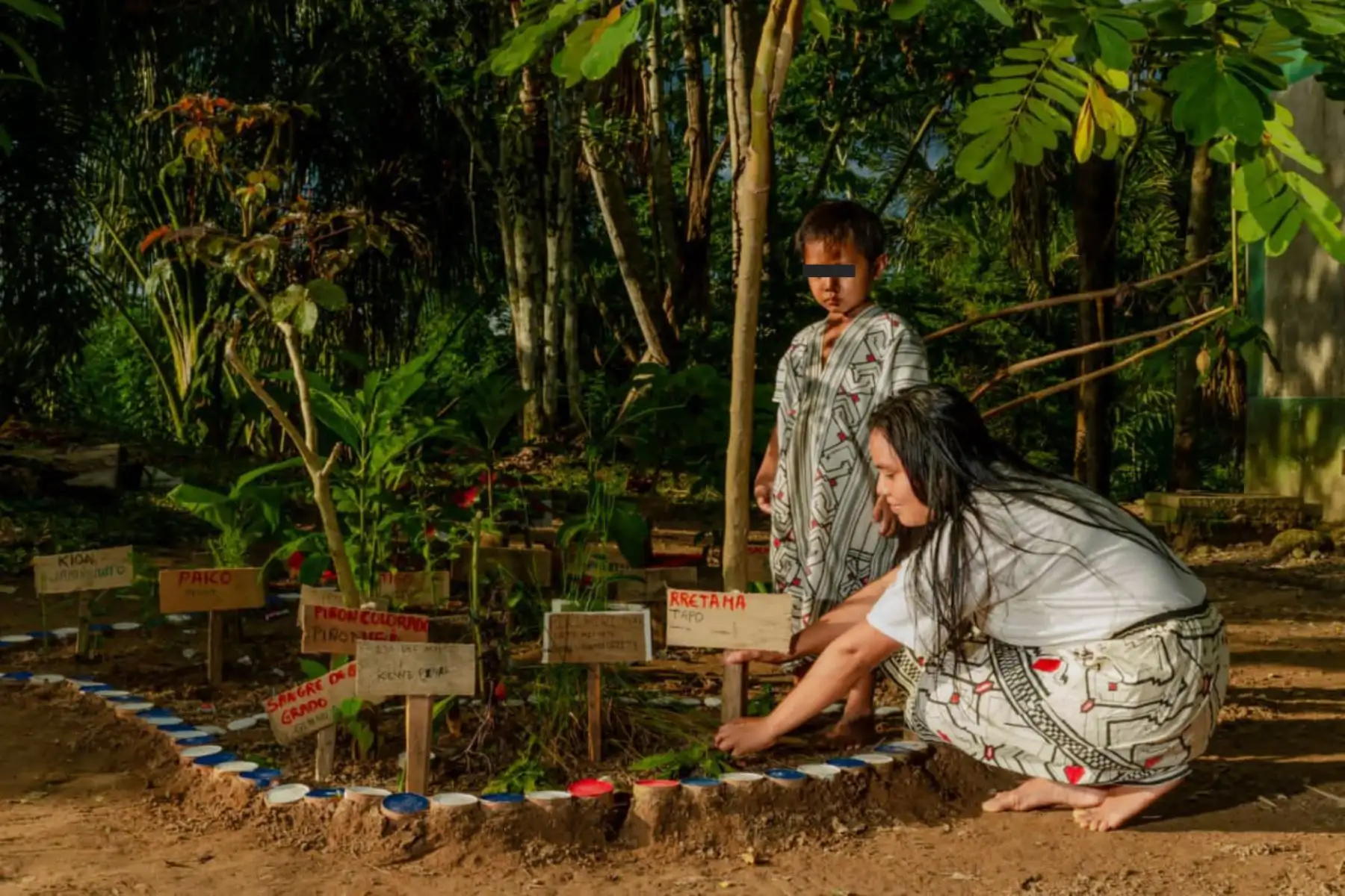 El Grupo Internacional para Asuntos indígenas (IWGIA) fue impulsor del IFAD Indígena 2021, competición en la que participaron diferentes experiencias a nivel internacional.
La iniciativa presentada fue la ejecución del Plan de Vida de la comunidad nativa de Sensa del distrito de Megantoni, Provincia de La Convención, región Cusco, la que generó mayor impacto. Imagen de archivo,2020.
Foto: Midagri