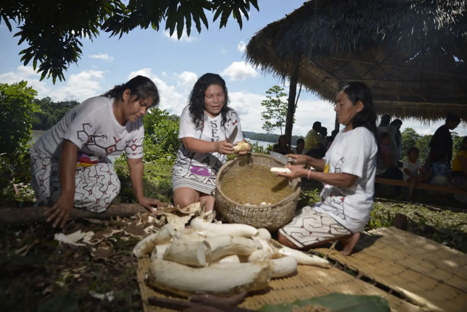 El Grupo Internacional para Asuntos indígenas (IWGIA) fue impulsor del IFAD Indígena 2021, competición en la que participaron diferentes experiencias a nivel internacional.
La iniciativa presentada fue la ejecución del Plan de Vida de la comunidad nativa de Sensa del distrito de Megantoni, Provincia de La Convención, región Cusco, la que generó mayor impacto. Imagen de archivo, 2020.
Foto: Midagri