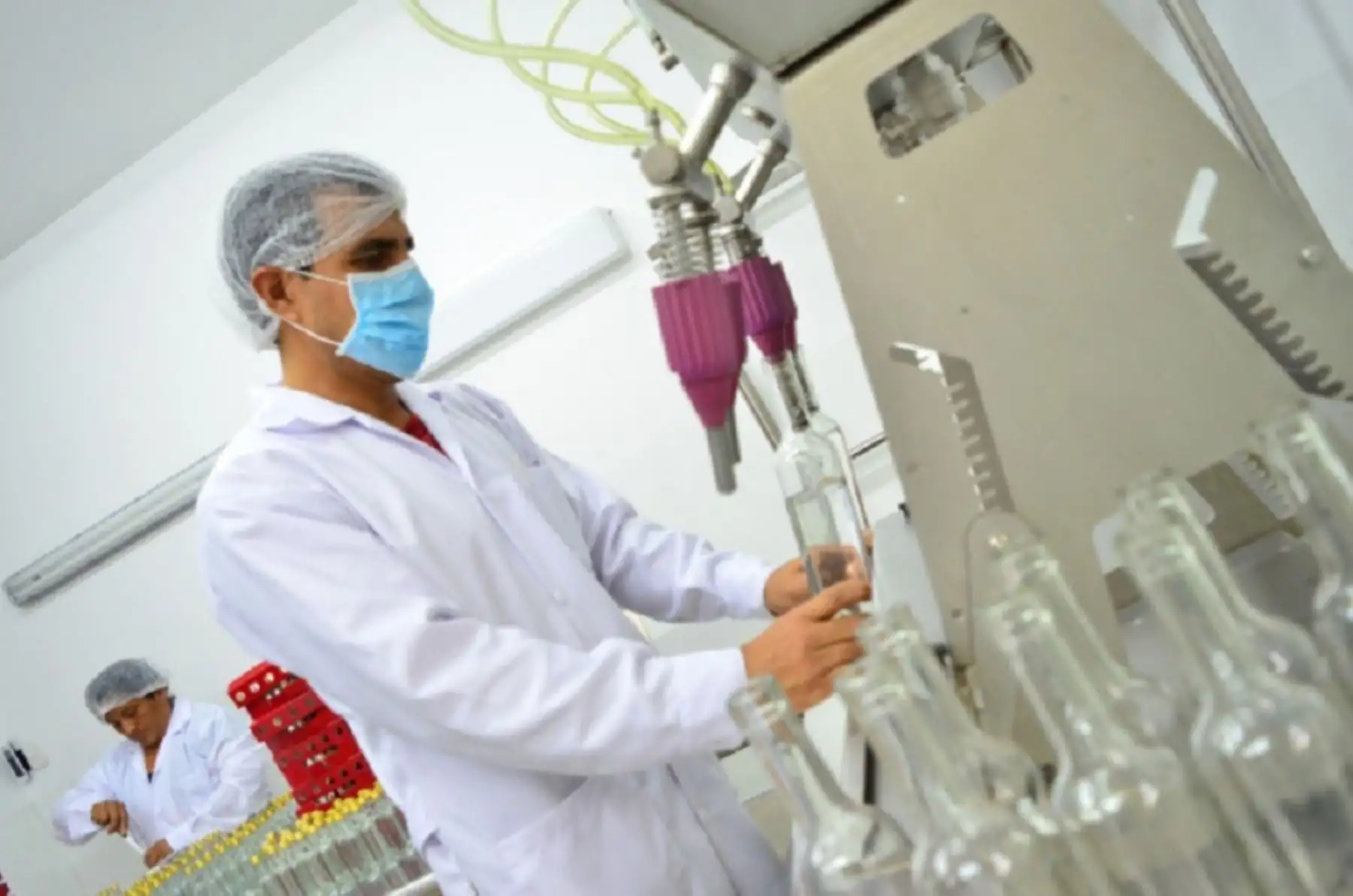 Cuatro regiones del país han beneficiado al empresariado pisquero de alta calidad a través de asistencias técnicas y productivas a cargo del Instituto Tecnológico de la Producción (ITP) red CITE.