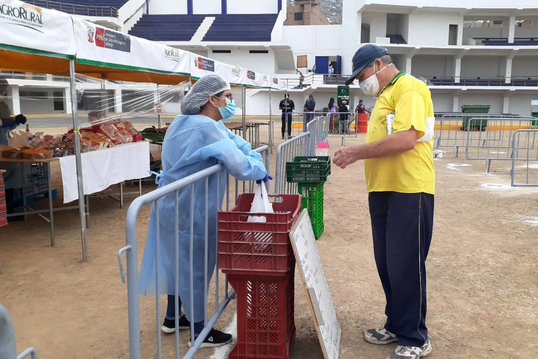 Alrededor de 30 pequeños productores de la Agricultura Familiar ofrecen variedad de productos de primera necesidad a precios justos en los mercados de Midagri “ De la Chacra a la Olla “ en el distrito de Chorrillos.
Foto: Agro Rural