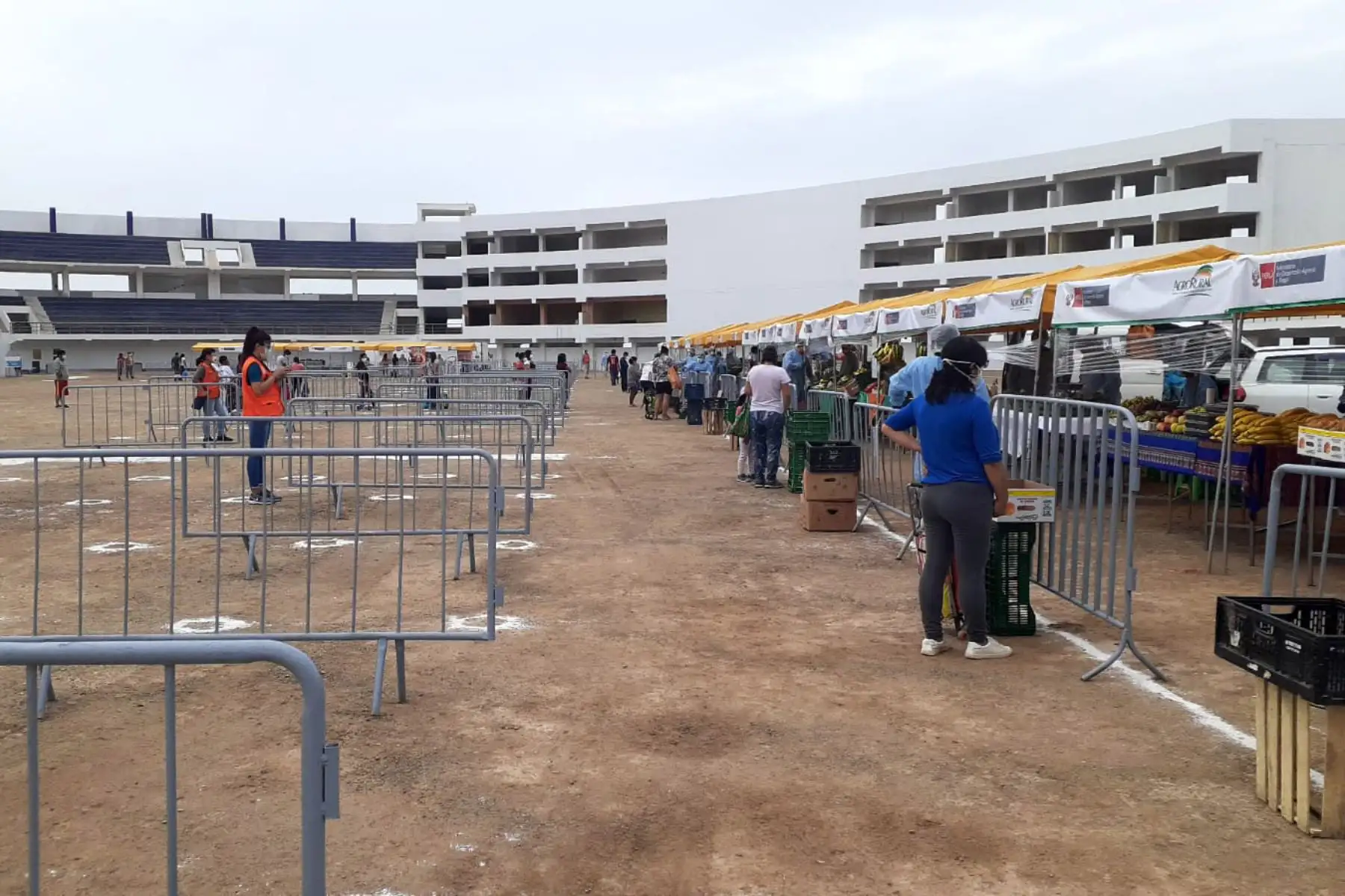 Alrededor de 30 pequeños productores de la Agricultura Familiar ofrecen variedad de productos de primera necesidad a precios justos en los mercados de Midagri “ De la Chacra a la Olla “ en el distrito de Chorrillos.
Foto: Agro Rural
