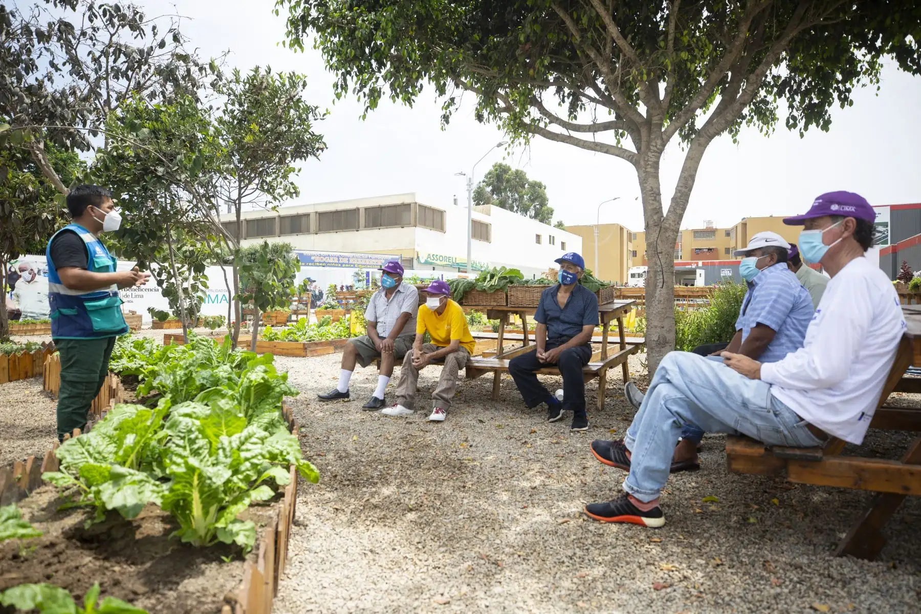 La nueva Casa de Todos cuenta con 40 habitaciones para los residentes, 5 habitaciones para el personal y oficinas; además, sala de lectura, de entretenimiento, de terapia psicológica, para talleres, un biohuerto y áreas verdes. Los albergados continuarán participando en diferentes talleres laborales y de acompañamiento médico, así como psicológicos y de nutrición; asimismo, ayudarán en el mantenimiento de espacios. Alcalde de Lima, Jorge Muñoz, visita Casa de Todos en la Urb. Palomino. Foto: ANDINA/Municipalidad de Lima