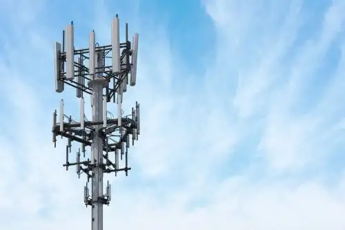 Antenas.
