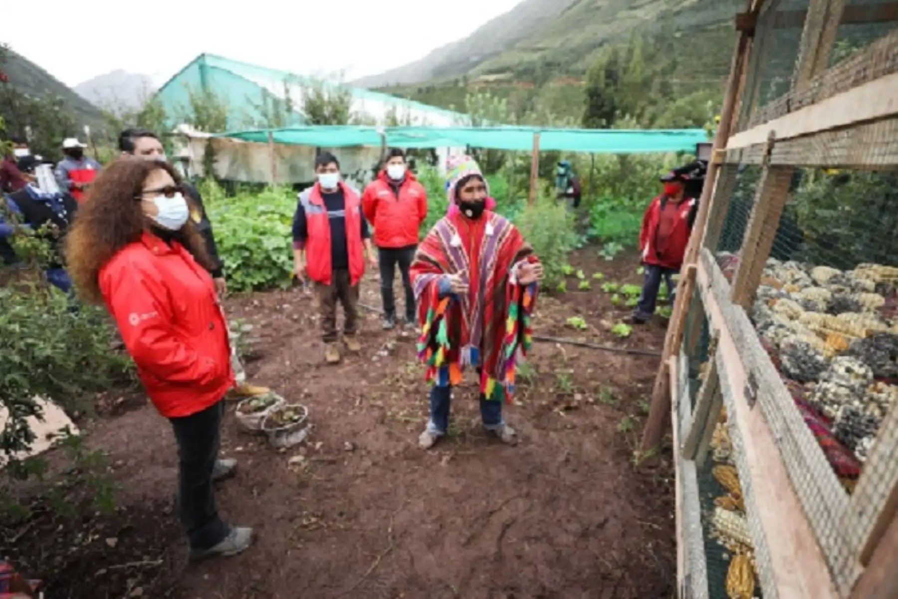 Ministra de Desarrollo e Inclusión Social, Silvana Vargas visita proyectos de Foncodes. ANDINA/Difusión