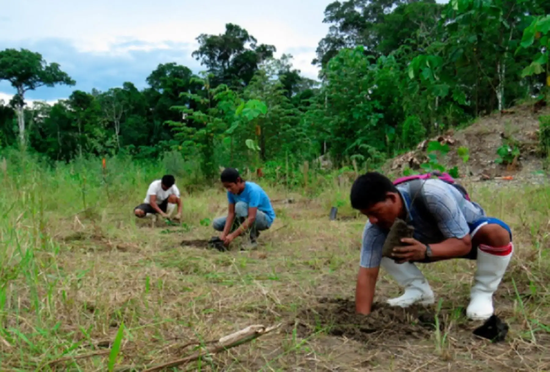El Ministerio de Desarrollo Agrario y Riego (Midagri), a través del Servicio Nacional Forestal y de Fauna Silvestre (Serfor), identificó 8.2 millones de hectáreas de paisajes degradadas en el país para restaurar.