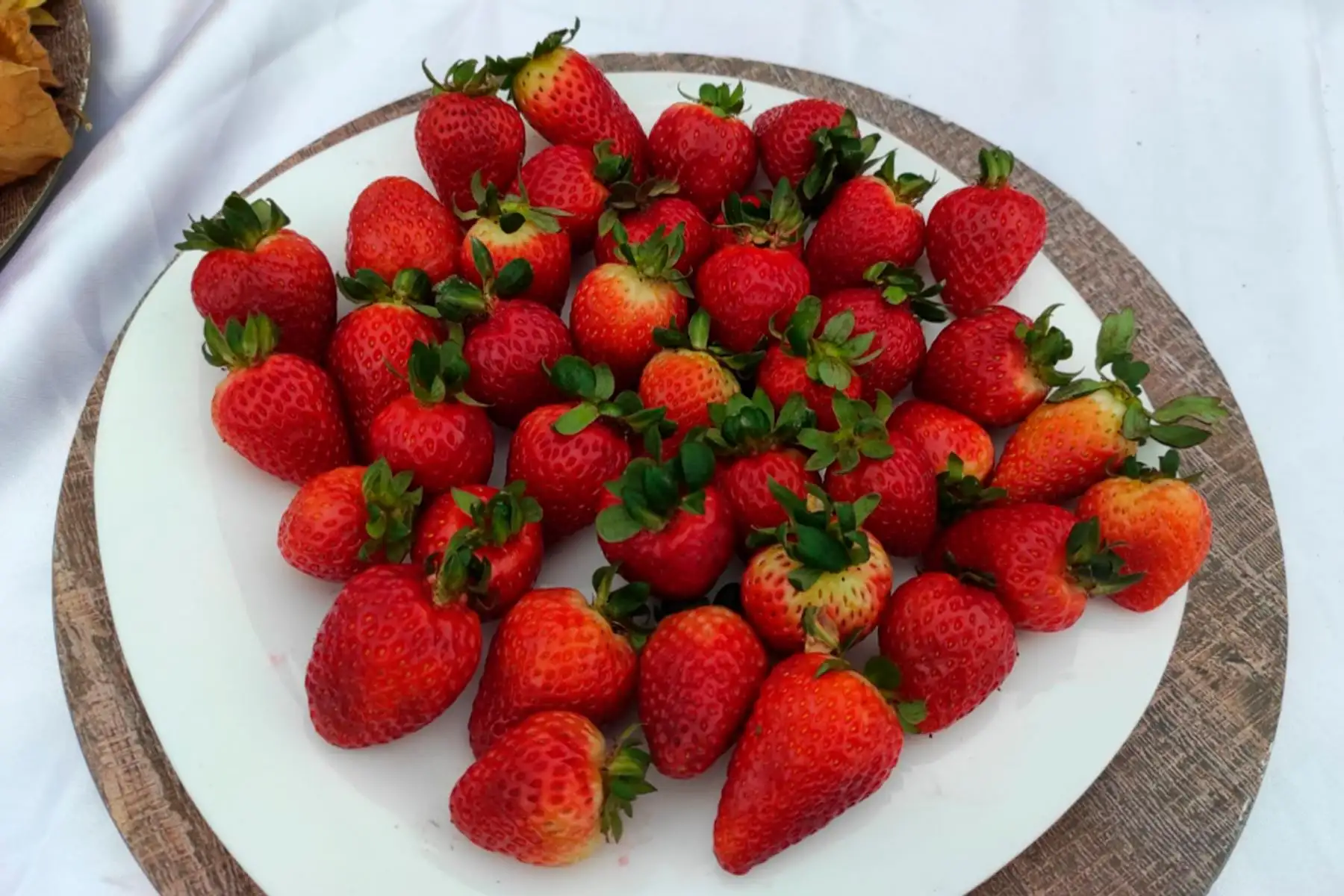 Fresas. Foto: ANDINA/MML.