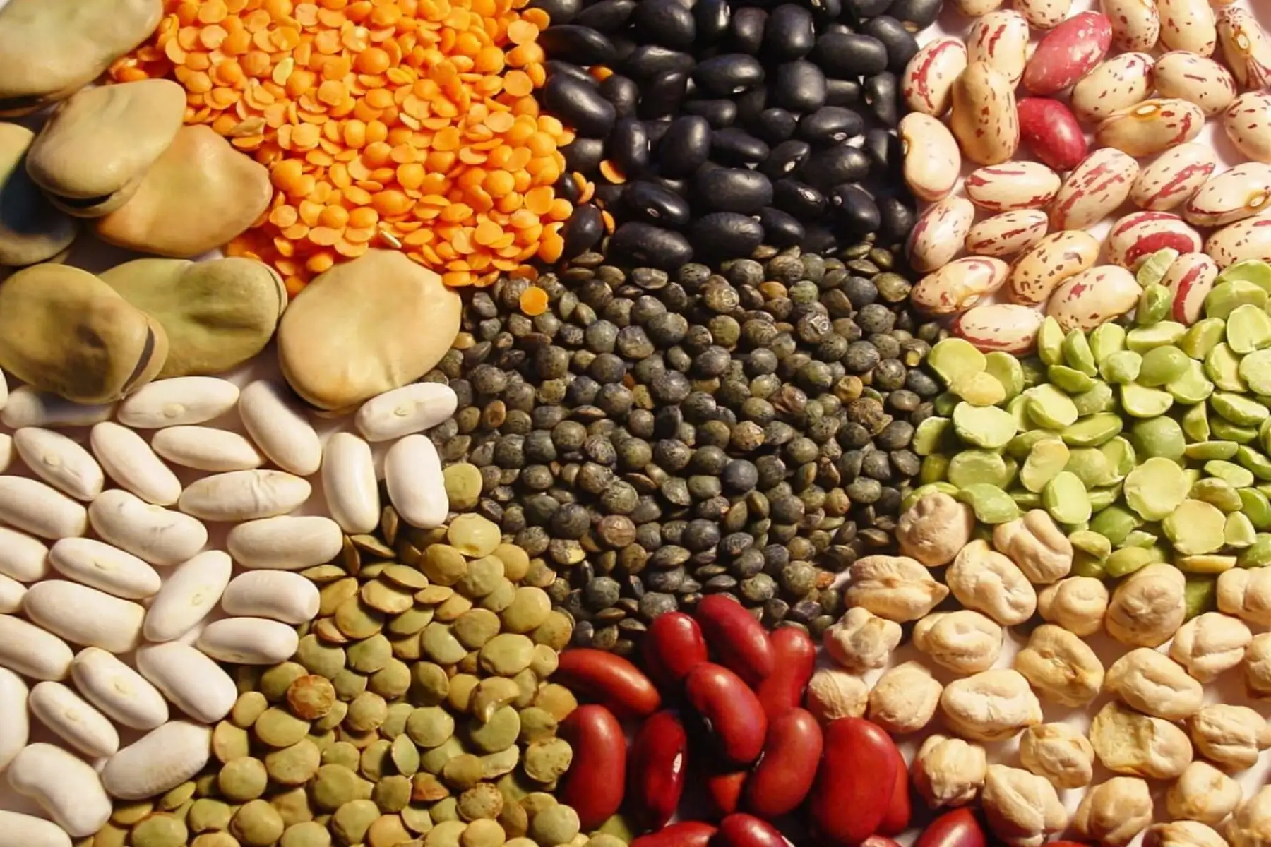 Aporte para la seguridad alimentaria. Cortesía Midagri