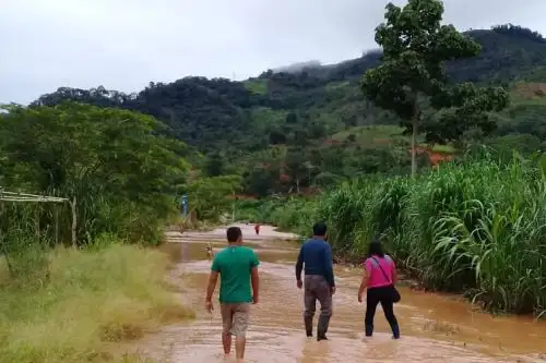 Existen 63 distritos de la Selva en riesgo debido a deslizamientos, huaicos u otro tipo de movimientos de masas, provocados por las intensas lluvias, informó el Centro Nacional de Estimación, Prevención y Reducción del Riesgo de  Desastres (Cenepred). Foto: ANDINA/difusión.