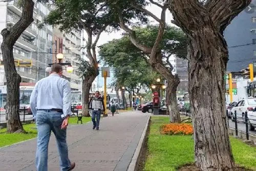 Titular de la PCM refirió que en alianza con los gobiernos regionales y locales buscan potenciar el uso de los espacios públicos haciéndolos más democráticos.