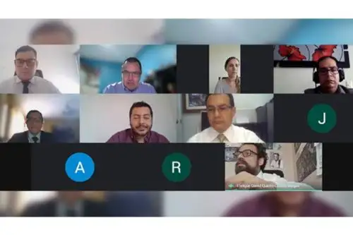Servidores públicos de la Defensoría del Pueblo y del Ministerio del Interior (Mininter) se reunieron de forma virtual para iniciar un trabajo conjunto contra la violencia. Foto: ANDINA/Defensoría del Pueblo