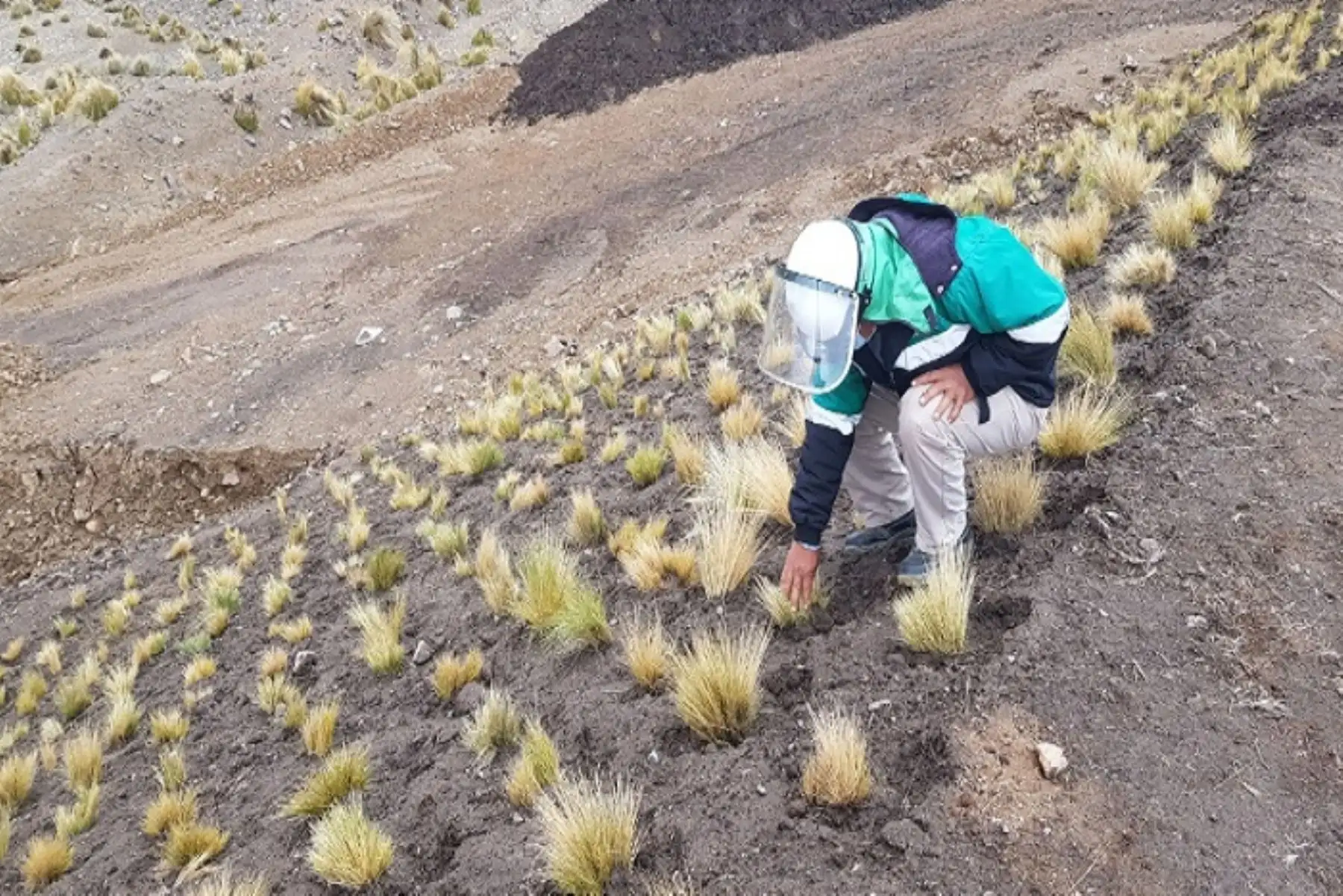 Los proyectos de remediación ambiental en Puno beneficiarán a 87,000 pobladores de forma directa e indirecta.