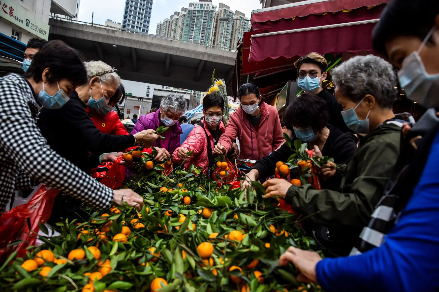 La gente clasifica las mandarinas, símbolo de abundancia y prosperidad, en un mercado en Hong Kong el 11 de febrero de 2021, antes del inicio del Año Nuevo Lunar, que marca el comienzo del Año del Buey. Foto: AFP