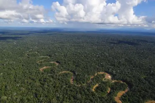 Ecosistemas terrestres, como la Amazonía peruana, desempeñan un papel fundamental en la absorción del CO2. ANDINA/Andrés Valle