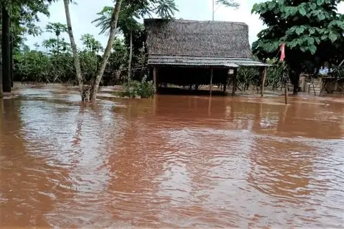Intensa lluvia en Puerto Bermúdez originó el desborde del río Pichis, con un saldo de centenares de viviendas inundadas. Foto: ANDINA/difusión.