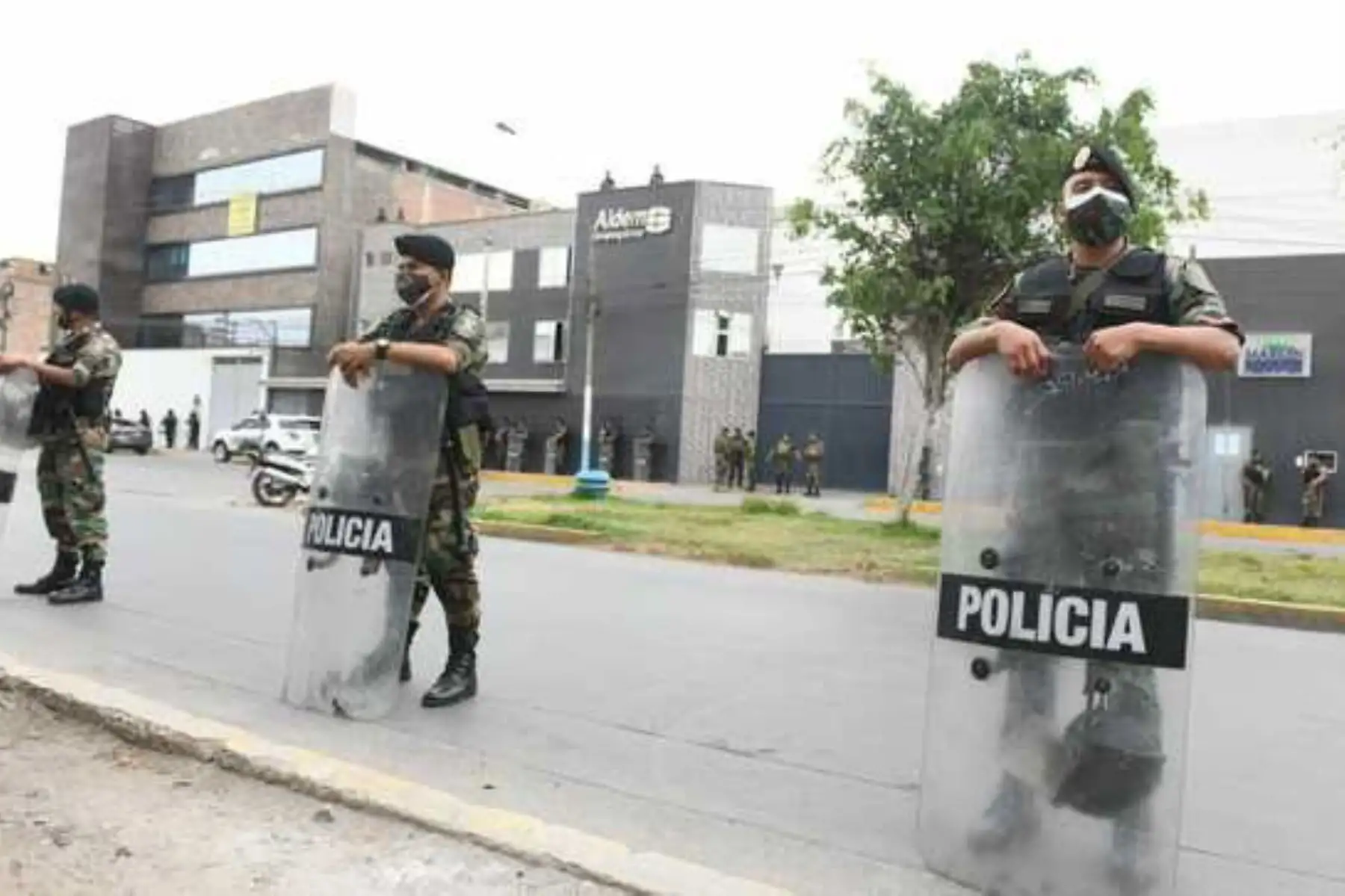 Foto: ANDINA/difusión.