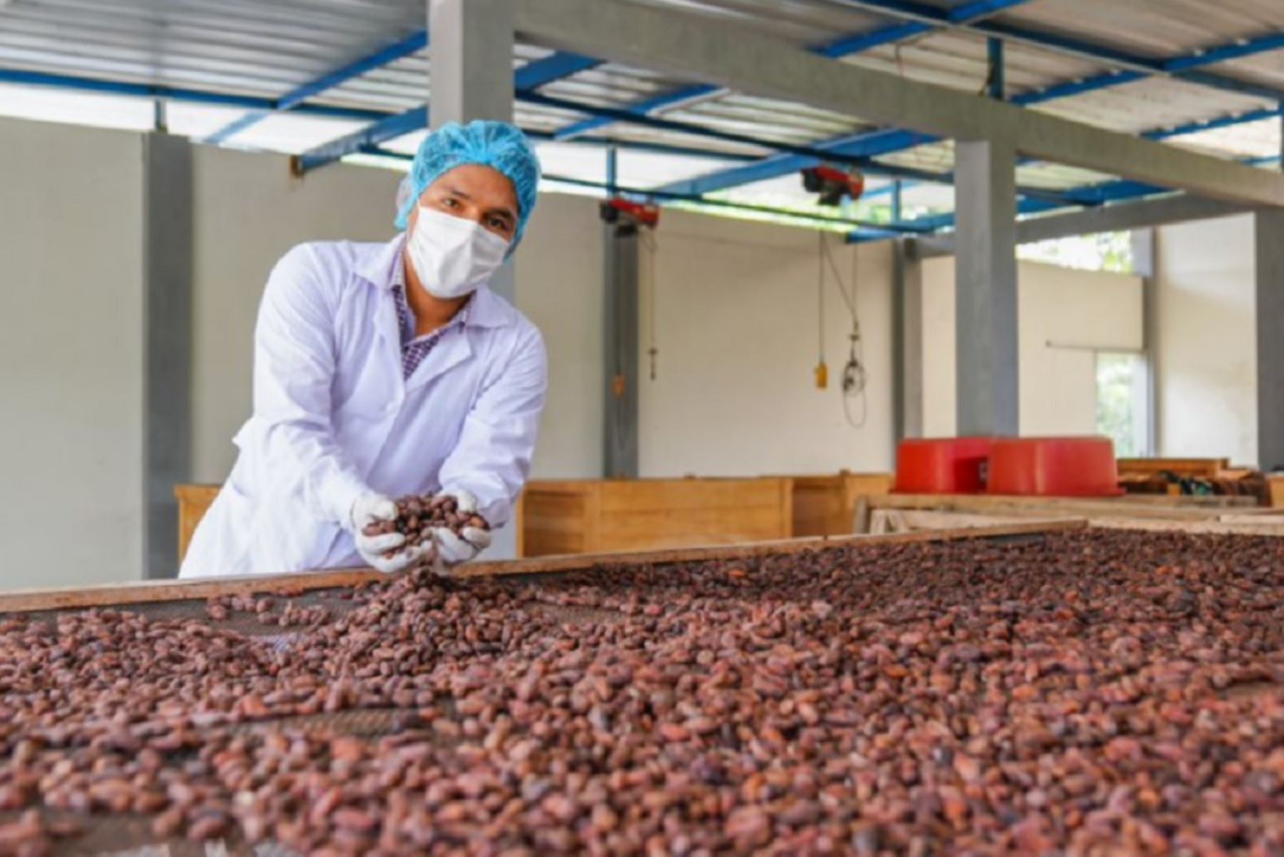 En víspera de celebrar el “Día de San Valentín”, los productores de chocolatería fina de diversas regiones del país vienen realizando esfuerzos para adaptarse a la nueva realidad debido a la pandemia del covid-19.