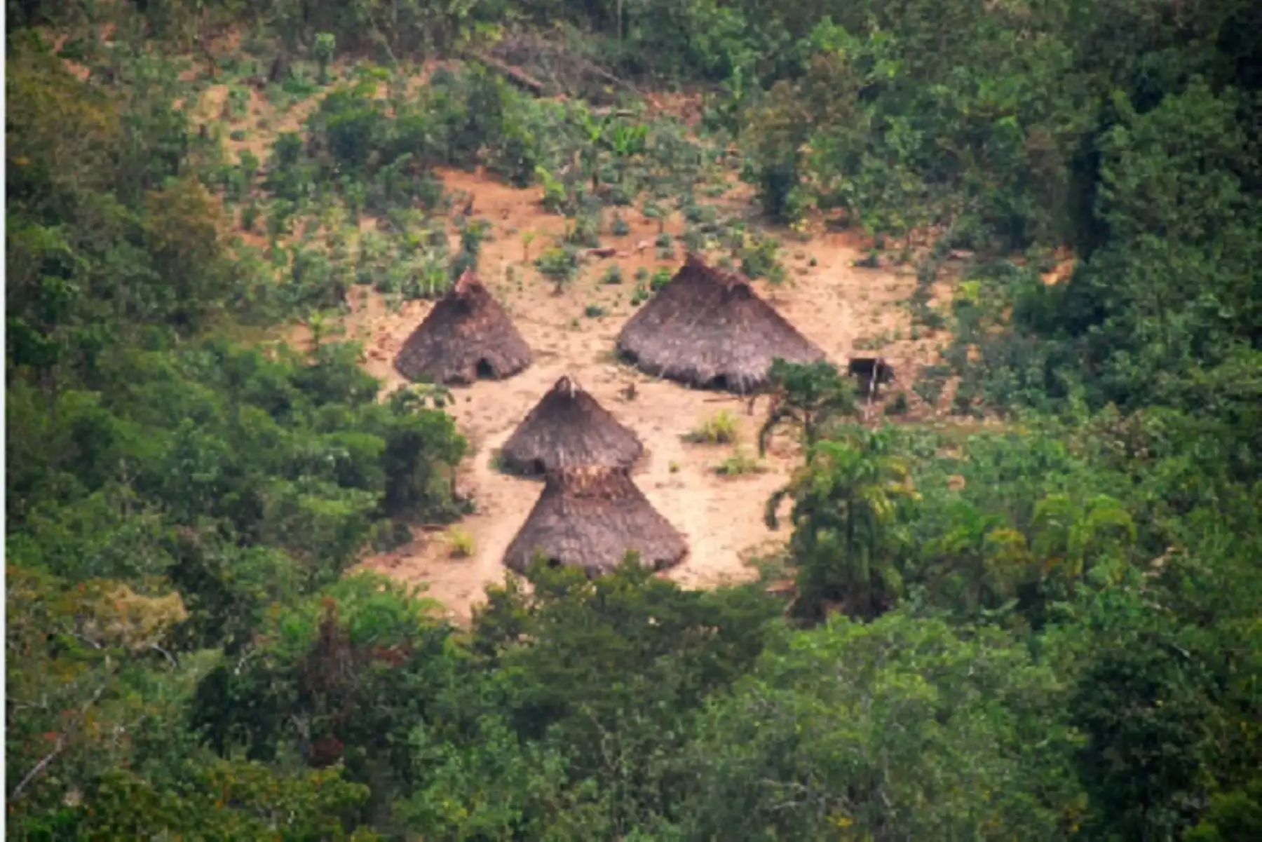 Aprobación se dio en el contexto de la vigésima octava sesión ordinaria de la Comisión Multisectorial establecida por la Ley N° 28736, encargada del reconocimiento de los PIACI y la categorización de reservas indígenas.ANDINA/Difusión