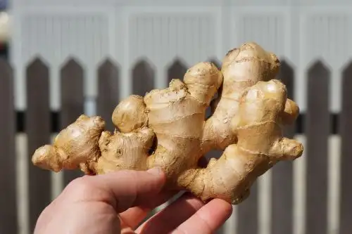 Producto orgánico. Foto: cortesía Midagri.