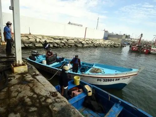Resaltan trabajo de pescadores artesanales de Pisco y cumplimiento de protocolo sanitario para evitar propagación del coronavirus (covid-19). ANDINA/Difusión