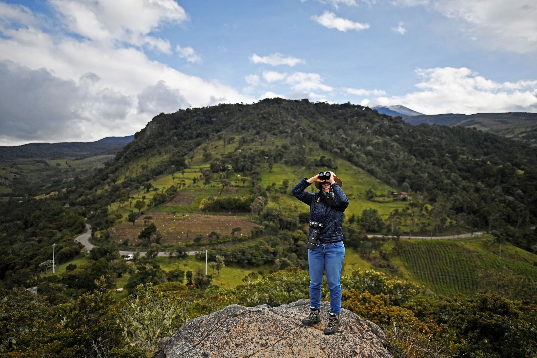 Adriana Collazos, bióloga que forma parte de los recolectores de cencus de cóndores, utiliza los binoculares durante el censo nacional de cóndores andinos en el Parque Nacional Natural Purace en Purace, Colombia. Foto: AFP