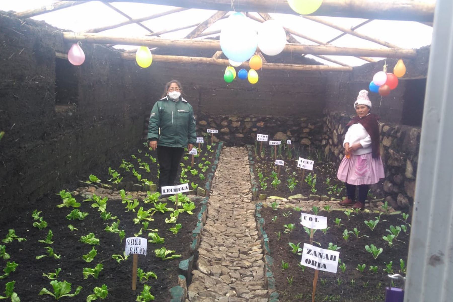 Los pequeños invernaderos rústicos permiten sembrar hortalizas, hierbas aromáticas y otros. Foto: ANDINA/Difusión
