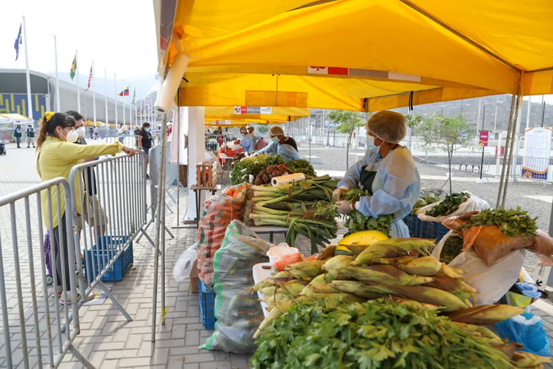 Los mercados itinerantes impulsados por Agro Rural llegarán a Arequipa, Apurímac, Cajamarca, Huancavelica, Huánuco, Ica, Junín, Lambayeque, Lima Metropolitana, Moquegua, Pasco, Piura y Tumbes. Foto: ANDINA/Difusión