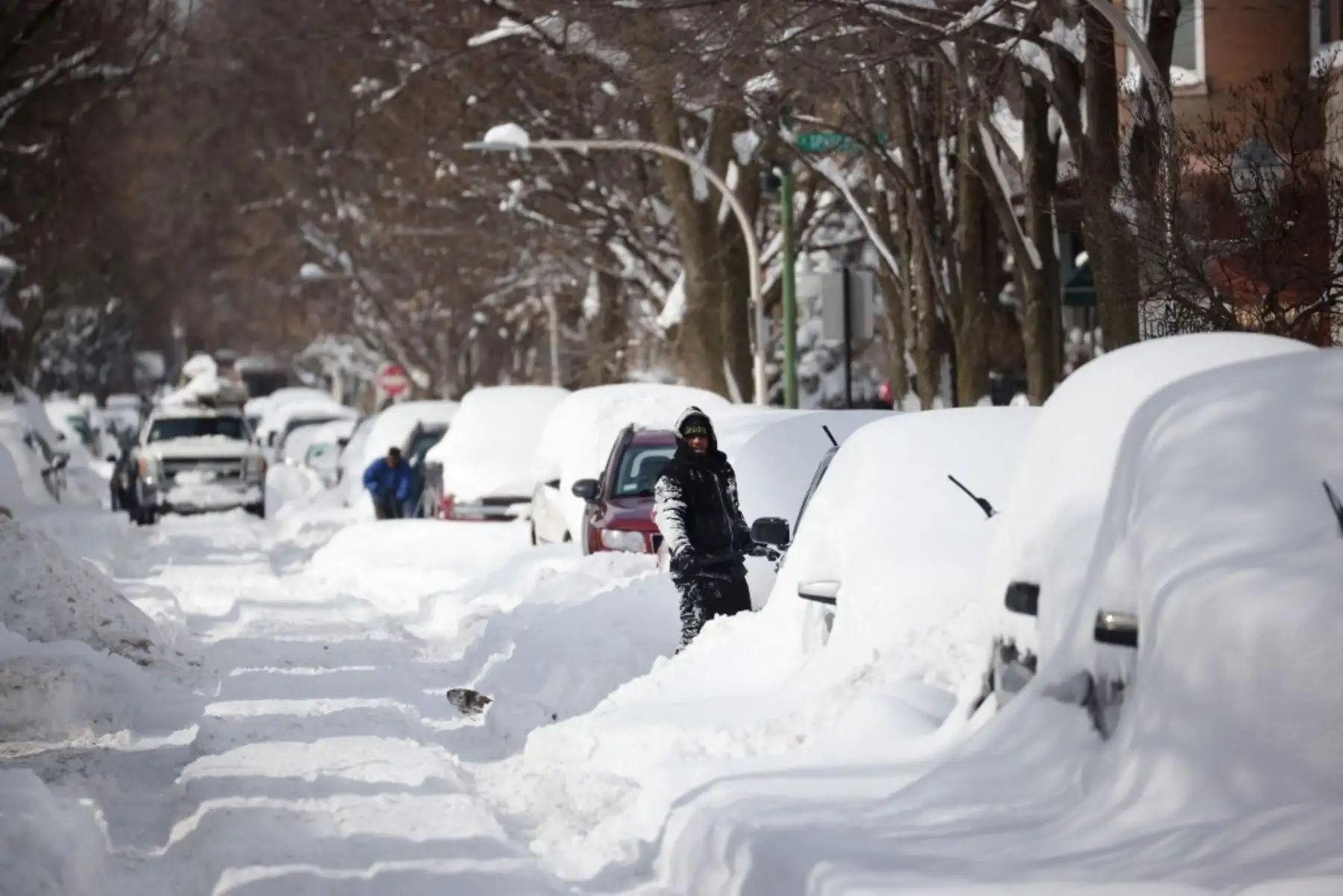 La gente trabaja para excavar sus coches a lo largo de una calle residencial el 16 de febrero de 2021 en Chicago, Illinois. Los residentes de Chicago están excavando esta mañana después de que una tormenta de nieve junto con nieve con efecto de lago arrojó más de 17 pulgadas de nieve en algunas áreas de la ciudad desde ayer. Foto: AFP