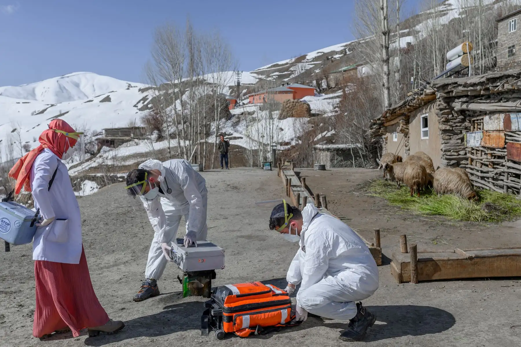 Los médicos doctor Akay Kaya, Sergen Saracoglu y la enfermera Yildiz Ayten del equipo de vacunación del hospital público de Bahcesaray llegan al pueblo de Guneyyamac en el este de Turquía, como parte de una expedición para vacunar a los residentes de 65 años o más con la vacuna CoronaVac Covid-19 de Sinovac. Foto: AFP
