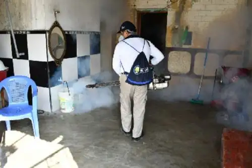 Para hoy jueves se ha programado una fumigación, a fin de evitar que se presente algún brote de la enfermedad.